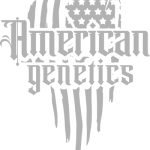 Semillas de cannabis feminizadas | American Genetics 14 semillas de cannabis feminizadas