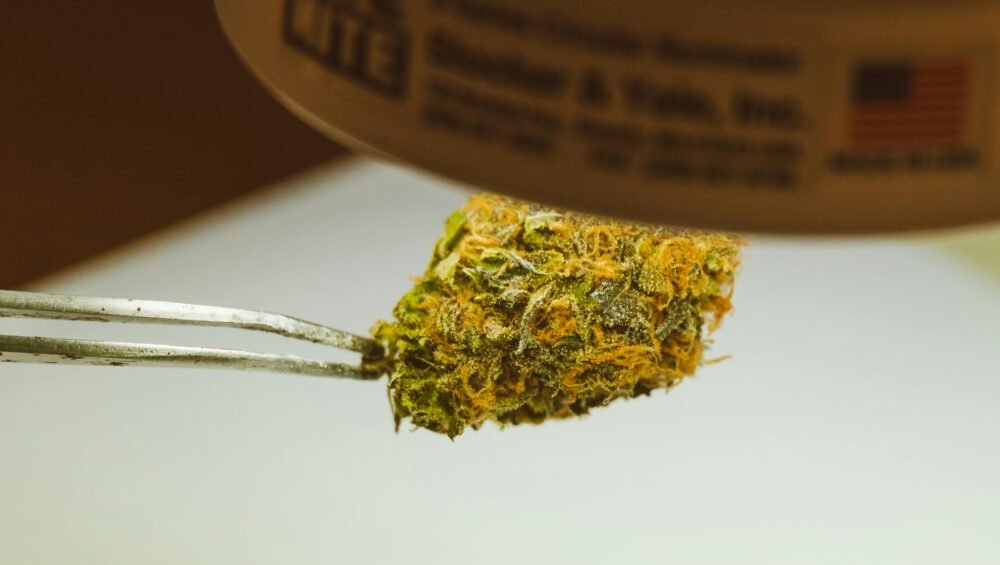 cogollo de marihuana cogido con pinzas
