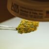 cogollo de marihuana cogido con pinzas